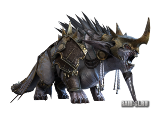 Что нас ждет в Рейде в ближайшее время (июль 2021)