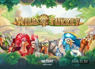 Оригинальный игровой автомат Дикая индейка от slot-onlinusz.net для игры онлайн на деньги