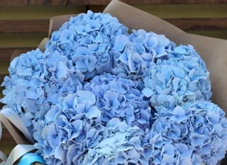 Свежие букеты от AzaliaNow — дарите радость!