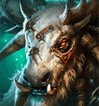 Bolint-Freewalker-Portraits