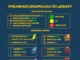 Какие донатные наборы выгодные?
